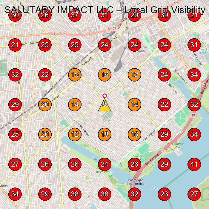 SALUTARY IMPACT LLC GeoGrid visibility map for House Cleaning Service in Brooklyn